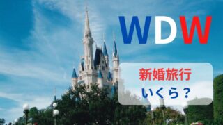 【WDW】新婚旅行の費用はいくら？激安から豪華まで３つのプラン紹介！